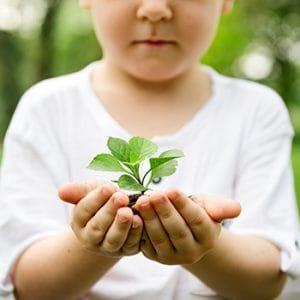 Pujaescales ecològics